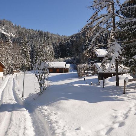 Kreiers Alp Daire Hohenems Dış mekan fotoğraf