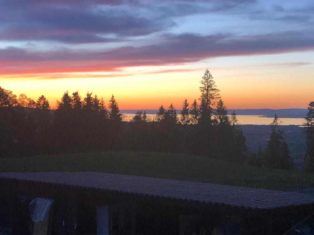 Kreiers Alp Daire Hohenems Dış mekan fotoğraf