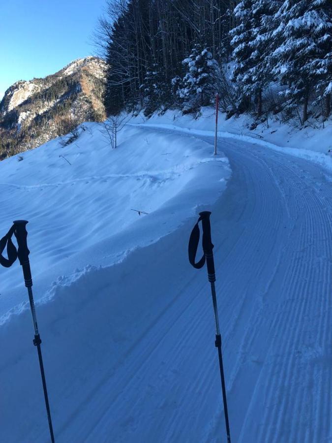 Kreiers Alp Daire Hohenems Dış mekan fotoğraf