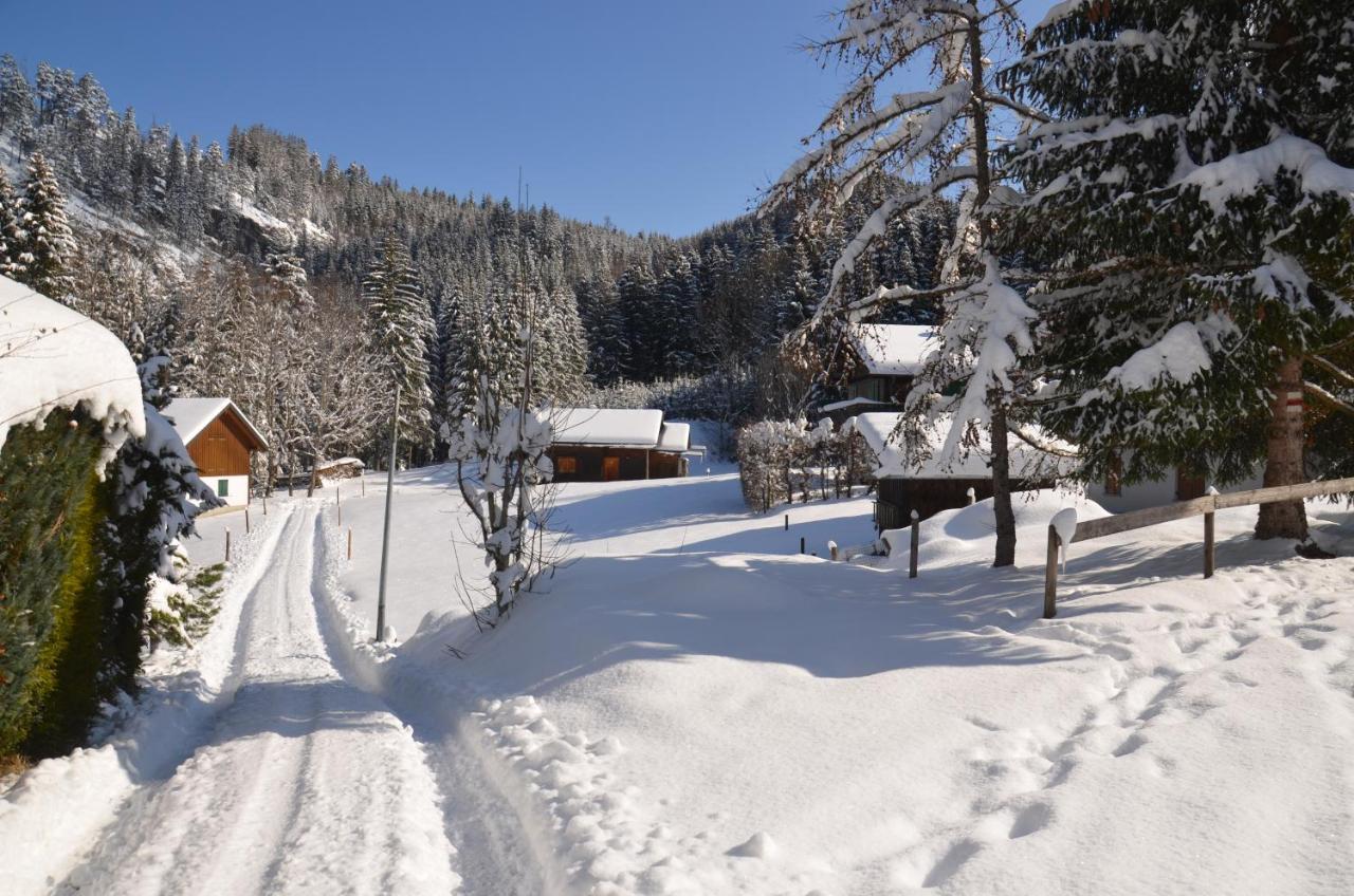 Kreiers Alp Daire Hohenems Dış mekan fotoğraf