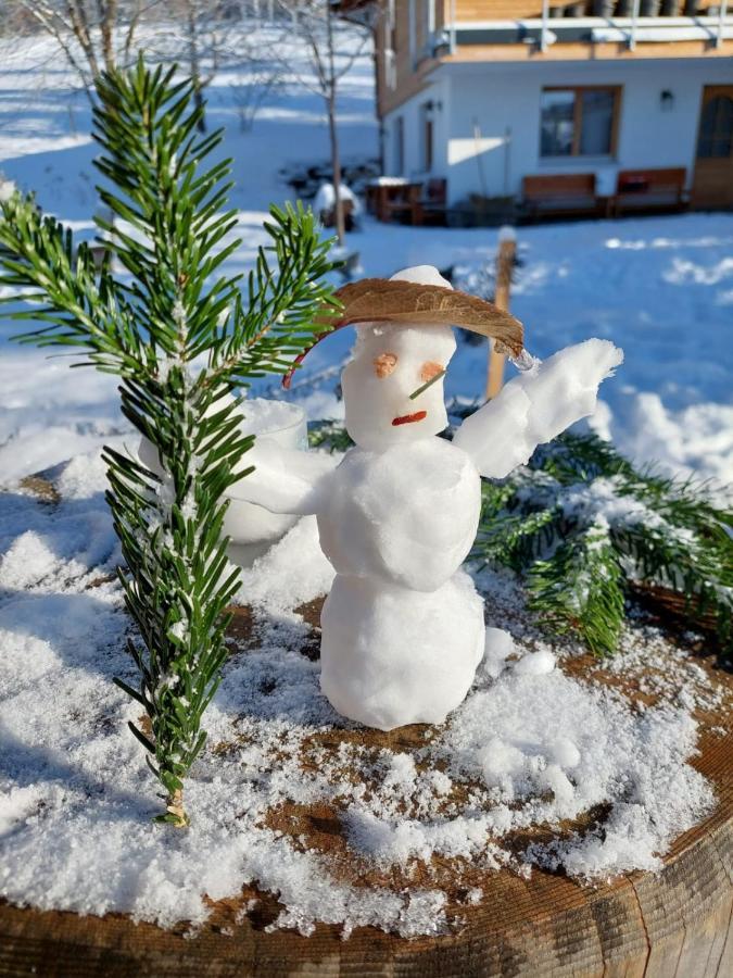 Kreiers Alp Daire Hohenems Dış mekan fotoğraf