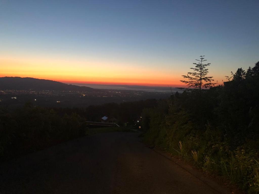 Kreiers Alp Daire Hohenems Dış mekan fotoğraf